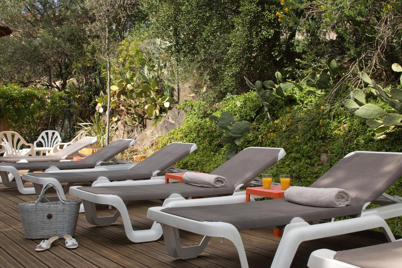 Le Madeloc Hotel & Spa Collioure Dış mekan fotoğraf